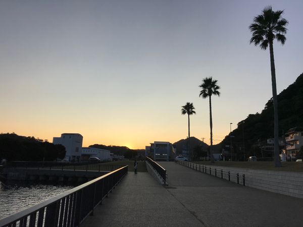 「伊豆旅行」の写真