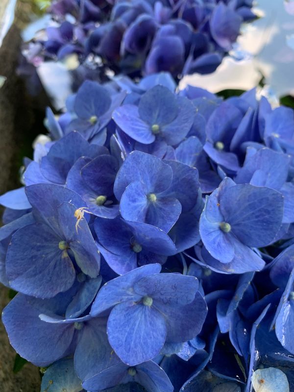 日本・静岡県「掛川へ」の写真