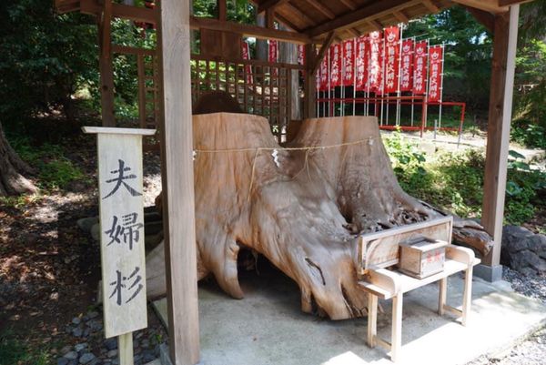 日本・静岡県「掛川へ」の写真