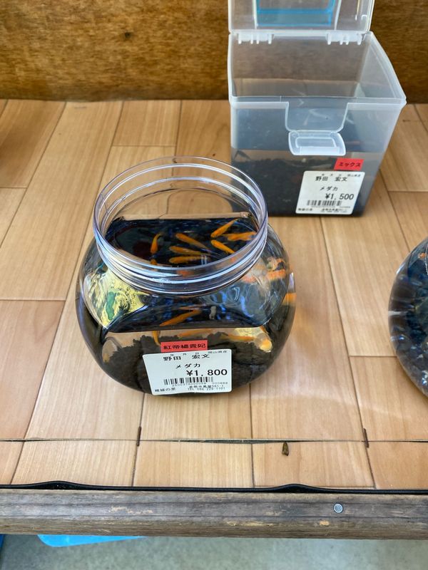 日本・島根県「出雲の旅」の写真