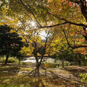 北菓楼本館は建物が重厚で素敵です
サロンのような空間で美味しいケーキをいた...