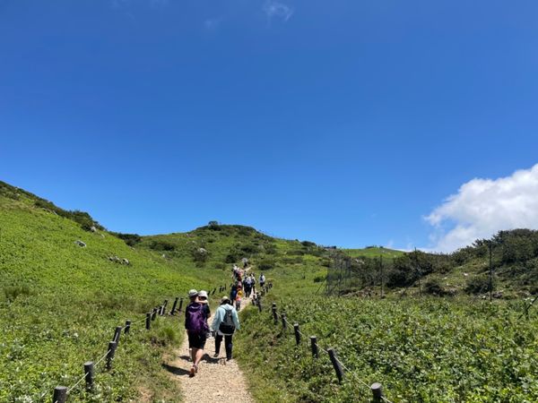 日本「百名山伊吹山散策」の写真：30分ほど歩いて標高1,377mの頂上に着きます。上...