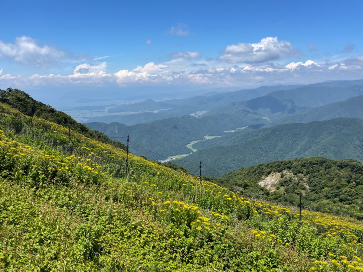 途中シモツケソウ、ルリトラノオ、キリンソウなど、いろんな高山植物が咲いてい...