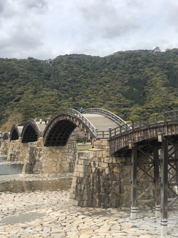 日本・山口県「山陰と四国（お城めぐり）」の写真