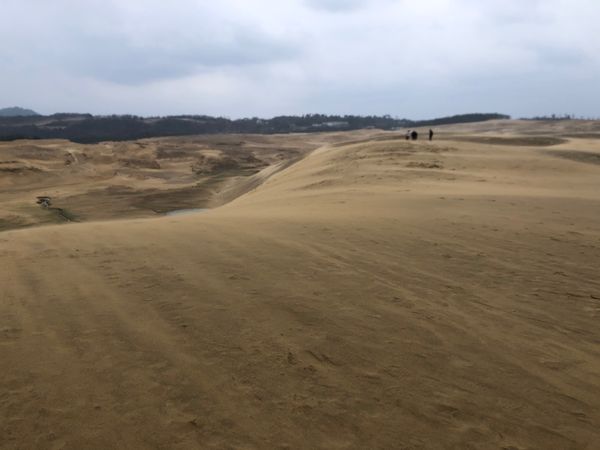 日本・兵庫県「鳥取砂丘と投入堂？」の写真