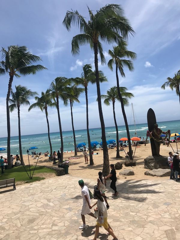 アメリカ(米国)・オワフ島ワイキキ「ハワイ家族旅行」の写真