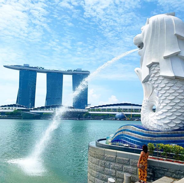 シンガポール「シンガポール家族旅行」の写真