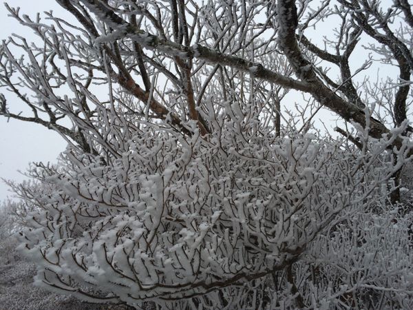 日本・鹿児島県「南九州登山トリップ」の写真