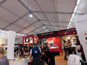 バルバレスコにも寄ってワイナリーでまた飲んだら次はアルバのトリュフ祭りです...