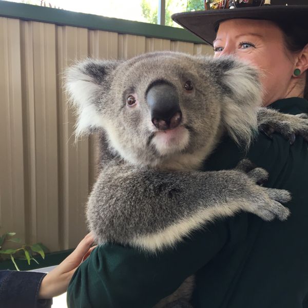 オーストラリア連邦・パース「パース」の写真
