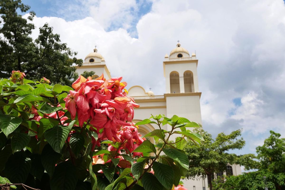 サンサルバドルのカテドラル