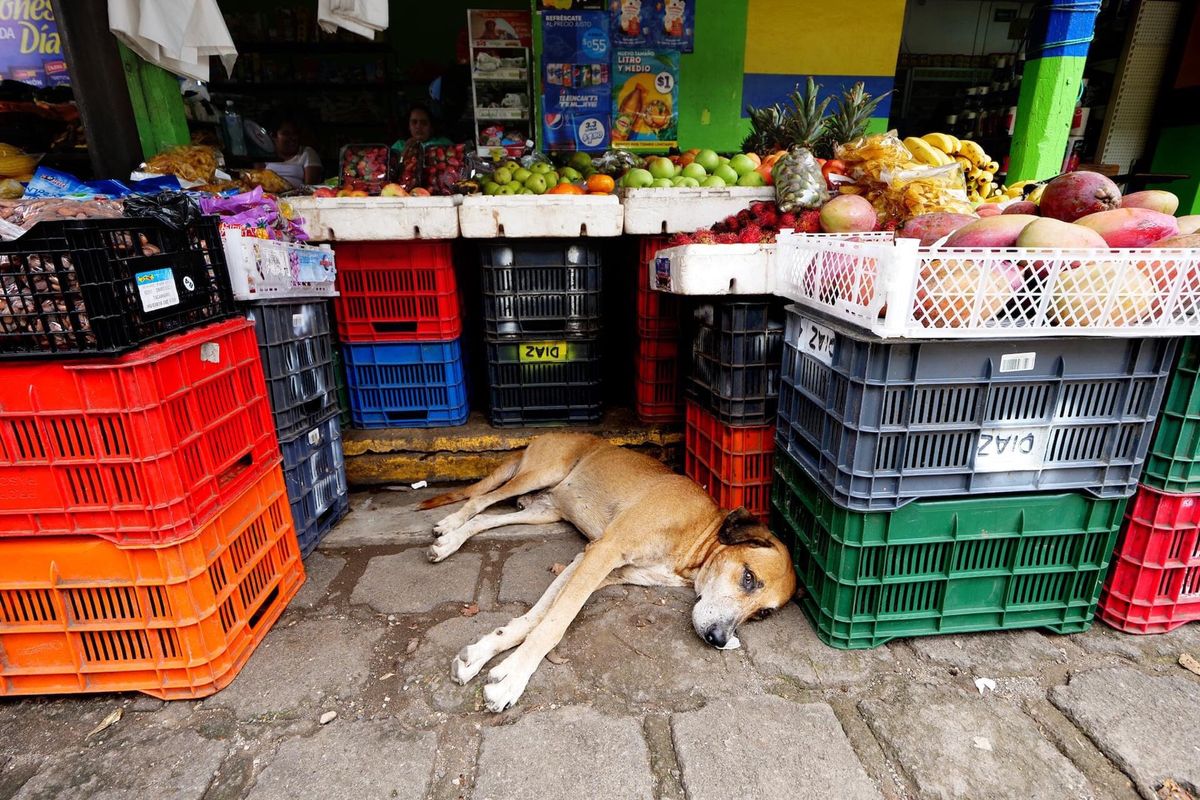 アナモロスの町の市場