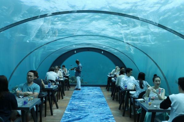 モルディブ「モルディブ」の写真