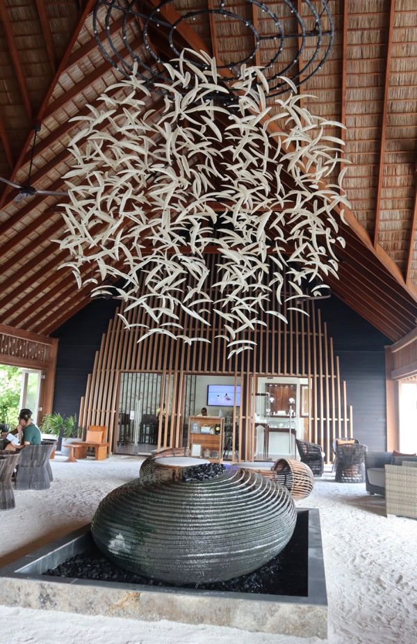 モルディブ「モルディブ」の写真