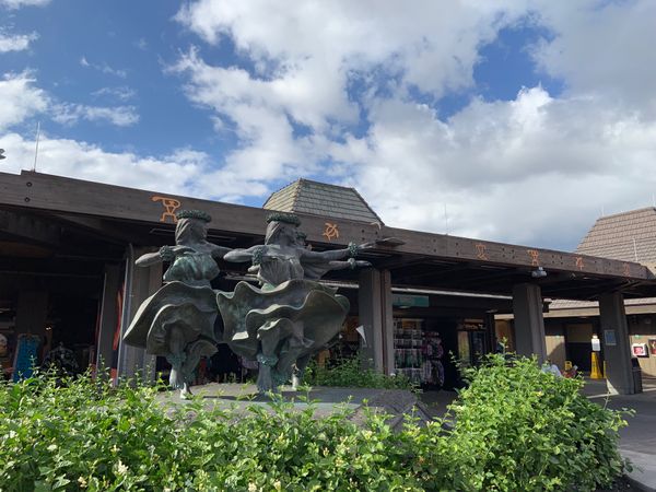 アメリカ(米国)・ハワイ「ハワイ島」の写真