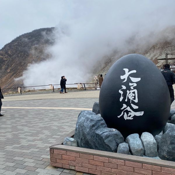 日本・神奈川県「箱根強羅 佳ら久」の写真