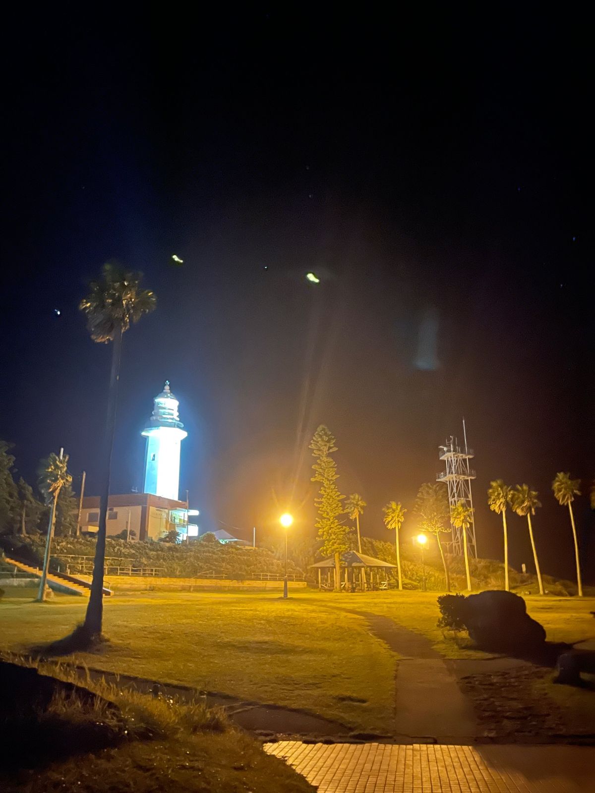 野島崎灯台

今日流星群もあるらしくかなり混んでいます