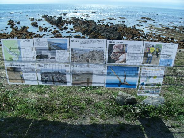 日本・茨城県ひたちなか「20160326茨城県阿字ヶ浦駅」の写真