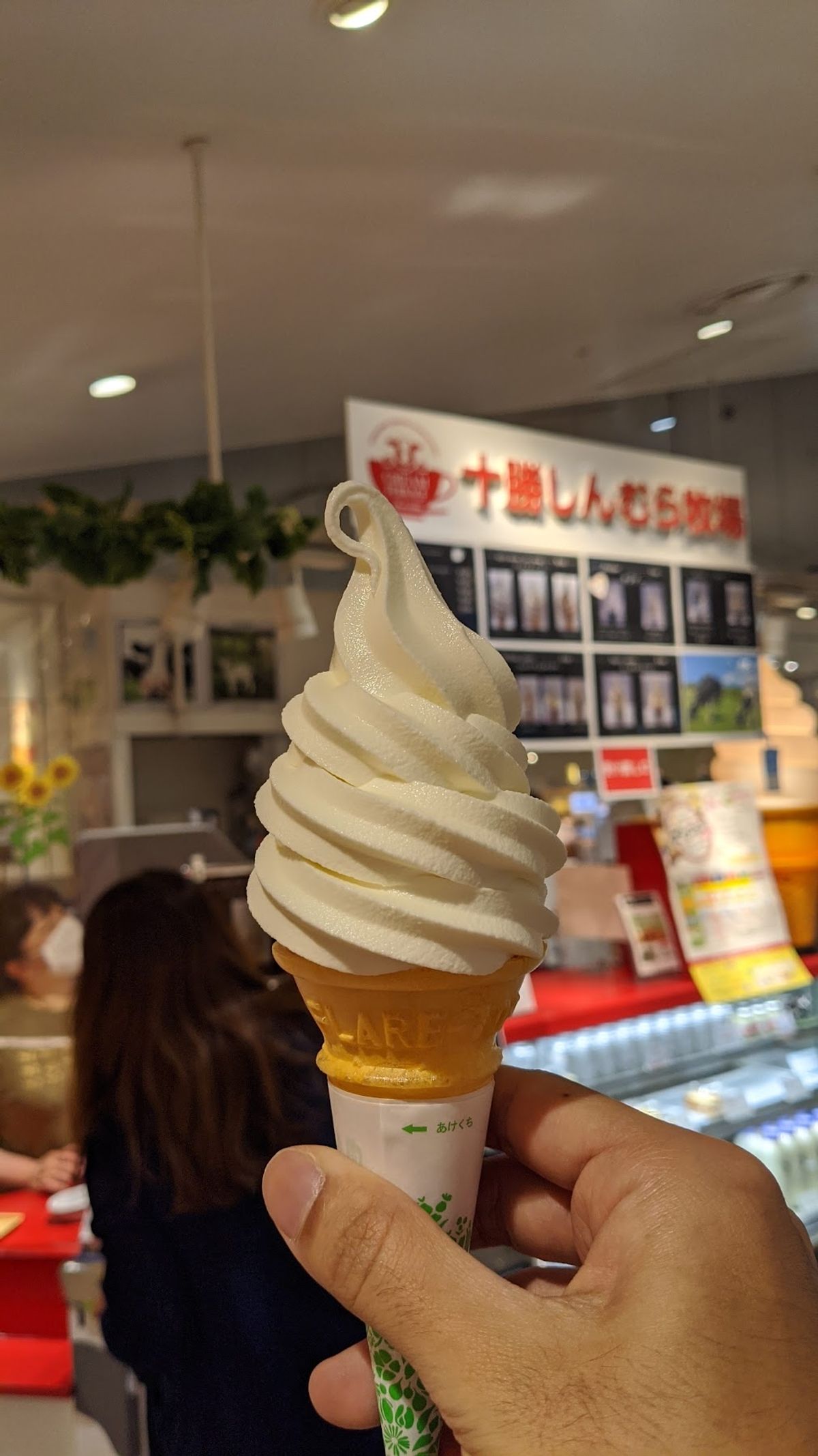 低気圧のおかけで半日分のハンデが出来てしまったが、
ここで自転車を借りてト...