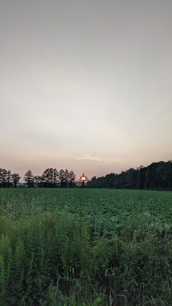 日本・北海道「トカプチ400 ナショナルサイクルロードの旅」の写真：徐々に日が落ちていき、完全に真っ暗になっ...