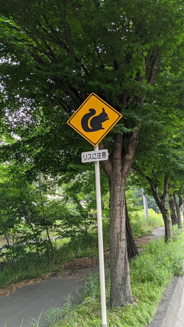 日本・北海道「トカプチ400 ナショナルサイクルロードの旅」の写真：最高に可愛い警告もあった。
自転車漕いで...