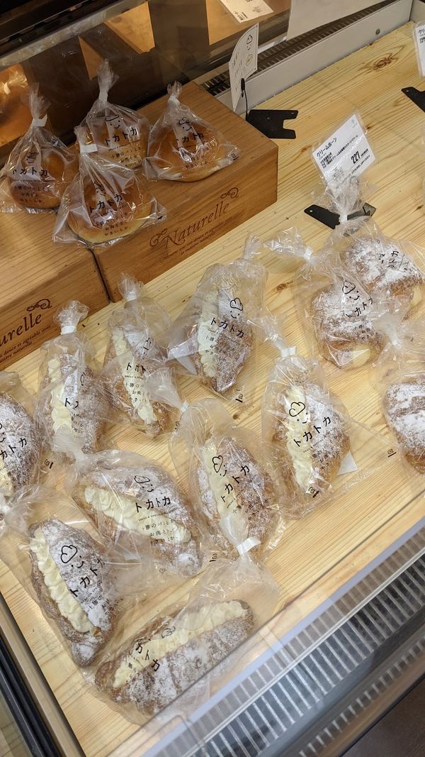 日本・北海道「トカプチ400 ナショナルサイクルロードの旅」の写真：なんとか寒さに耐えて朝を迎えたが、
Go...