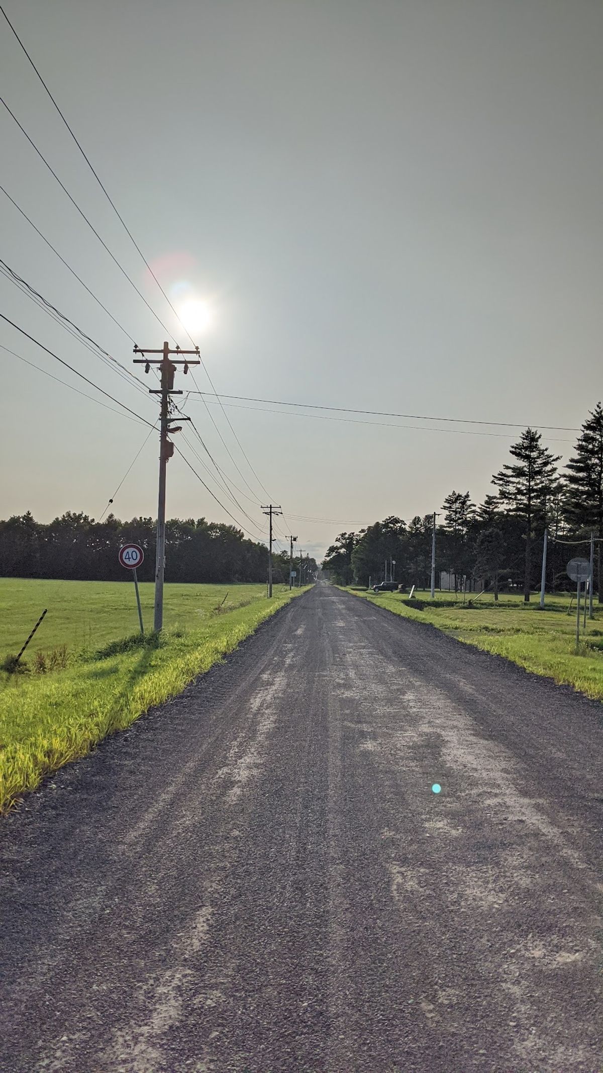 白樺並木を超えたら、永遠とこんな道を自転車で漕ぐ。
気がつけば電柱も街灯も...