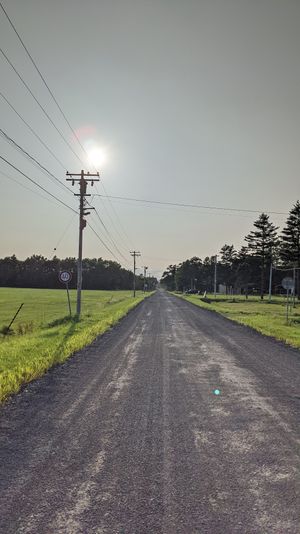 白樺並木を超えたら、永遠とこんな道を自転車で漕ぐ。
気がつけば電柱も街灯も...