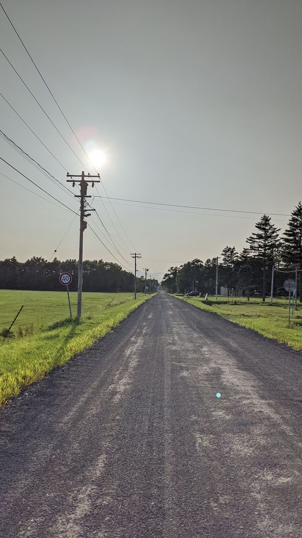 日本・北海道「トカプチ400 ナショナルサイクルロードの旅」の写真：白樺並木を超えたら、永遠とこんな道を自転...