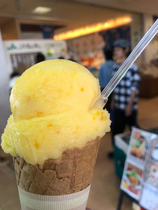 日本・静岡県「静岡旅行（聖地巡礼）」の写真