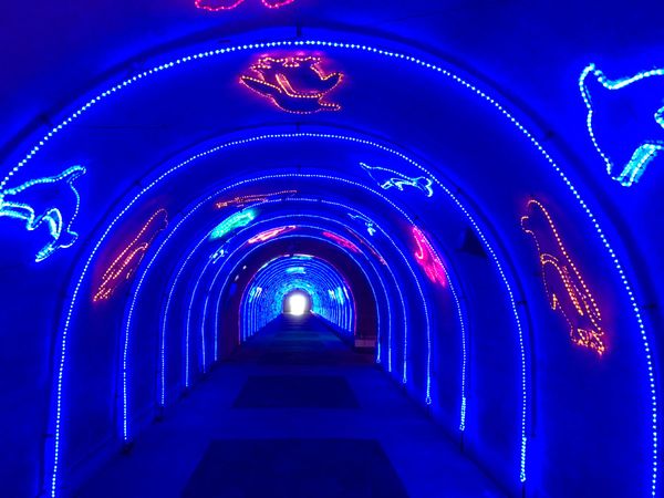 日本・静岡県「静岡旅行（聖地巡礼）」の写真