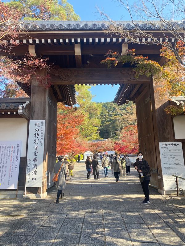 日本・京都府「京都」の写真
