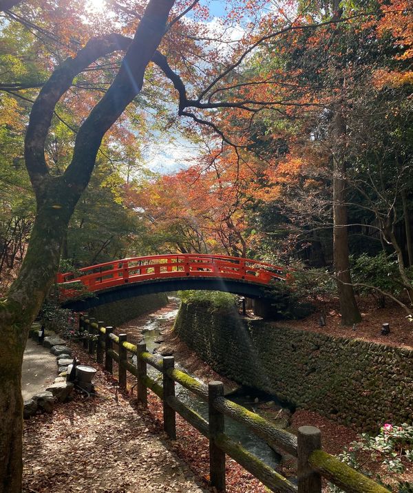 日本・京都府「京都」の写真