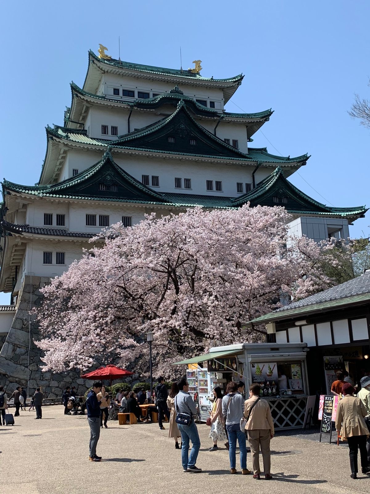 中華そば新谷最高！