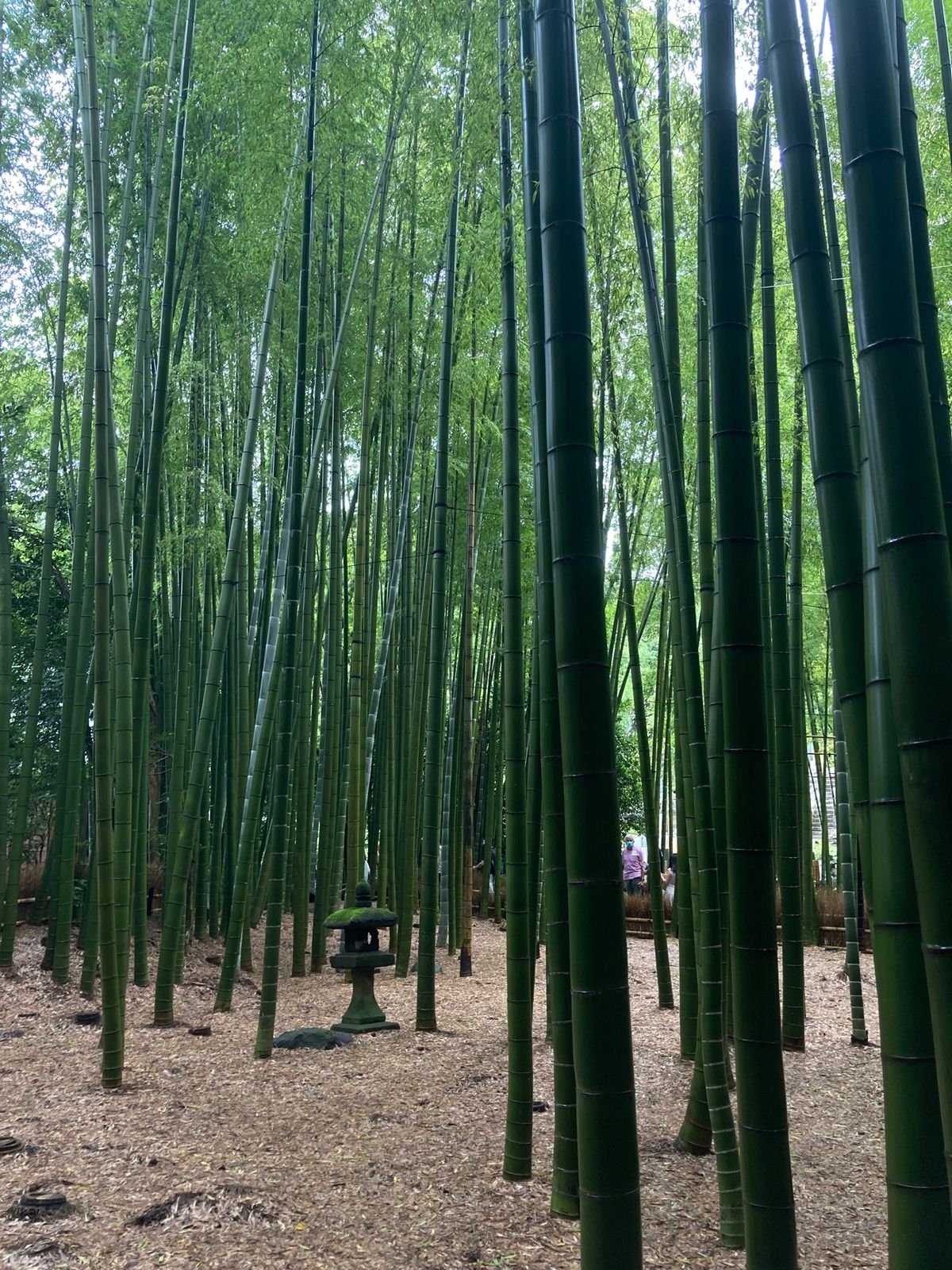 鎌倉