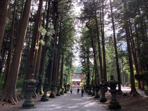 日本・静岡県「出稼ぎついでの小旅行」の写真：北口本宮浅間神社