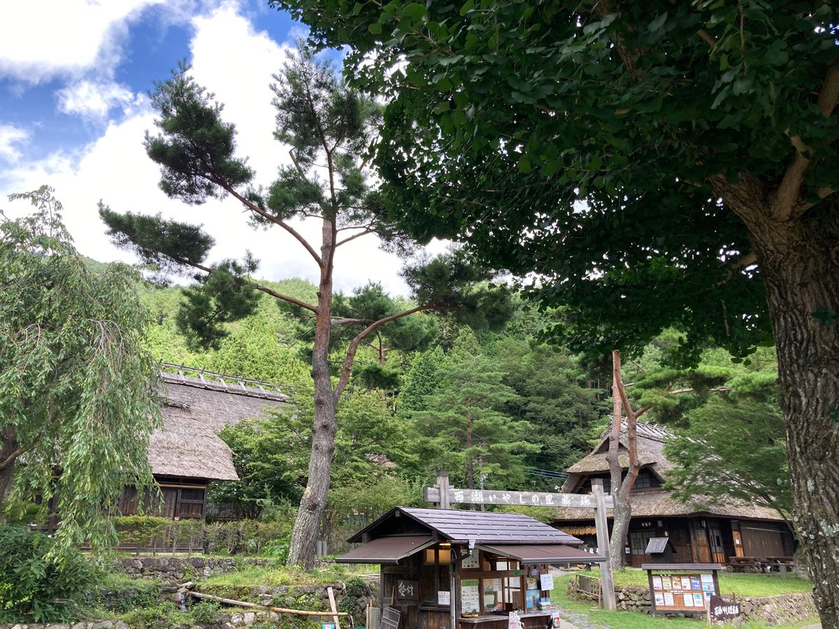 吉田のうどん
根場
青木ヶ原樹海
