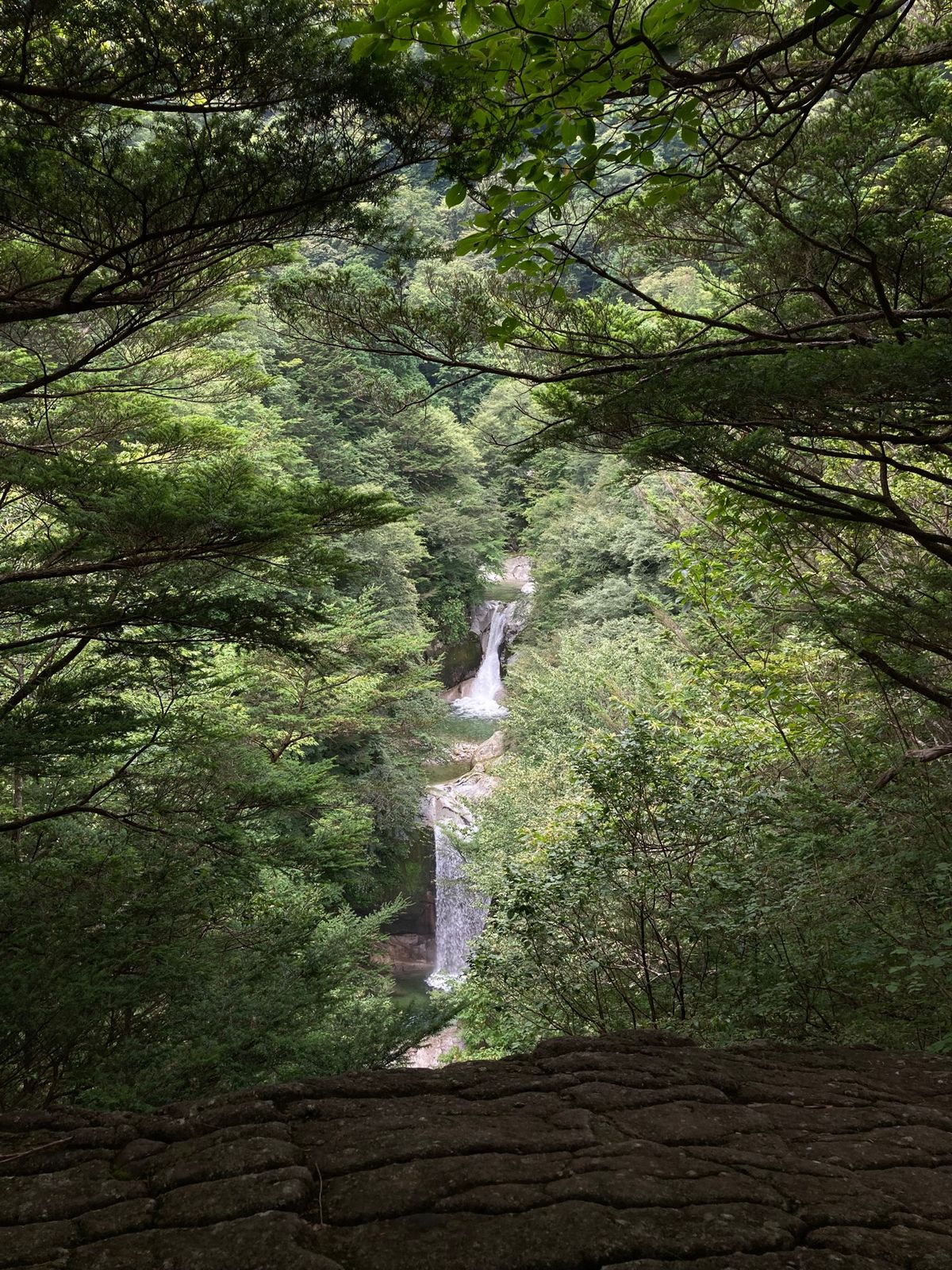 尾白川渓谷