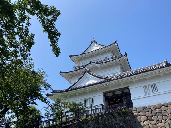 日本・静岡県「出稼ぎついでの小旅行」の写真：小田原
