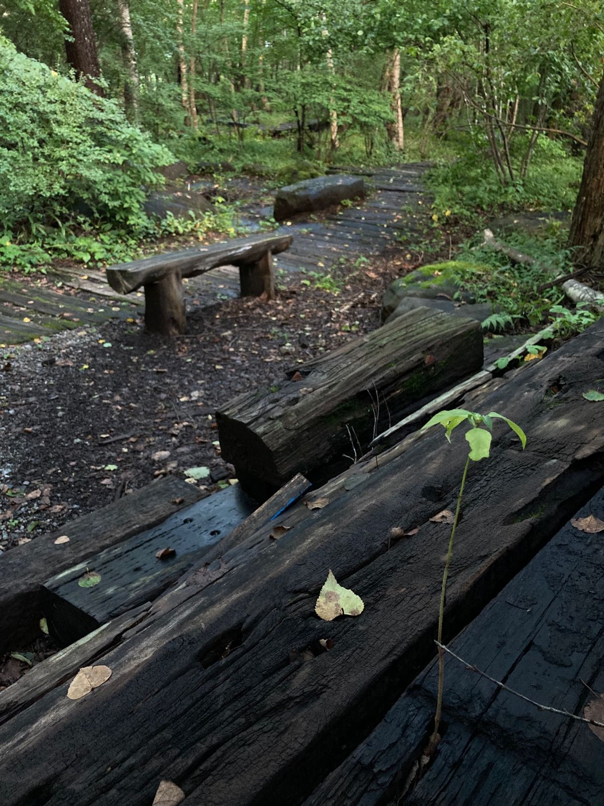 みずがき山
清里