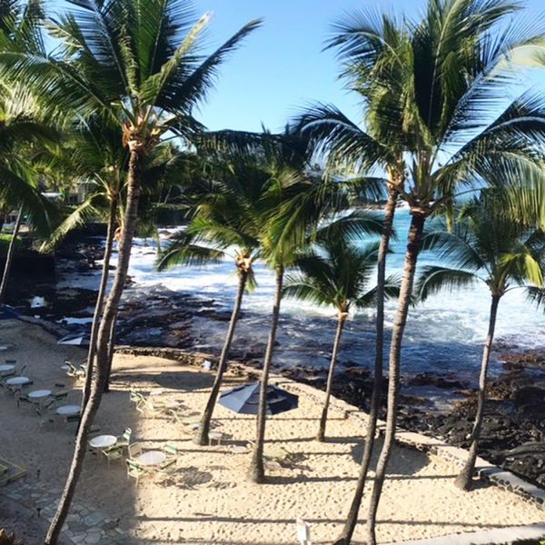 アメリカ(米国)・ハワイ「ハワイ島」の写真：大好きなハワイ島へ早く行きたい〜〜