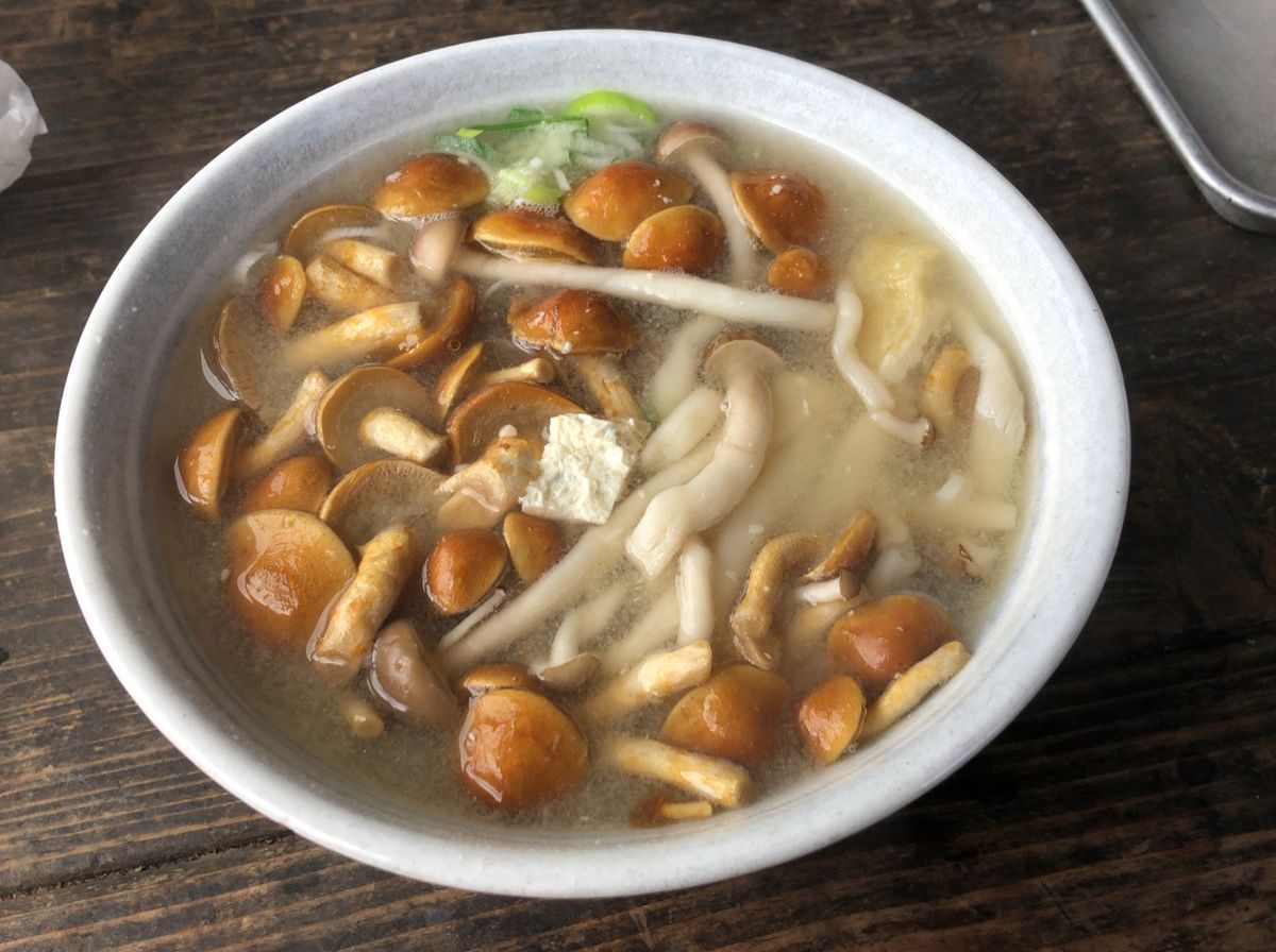 天下の秀峰標高1,211mの金時山登山。降りた後は温泉で一休み。