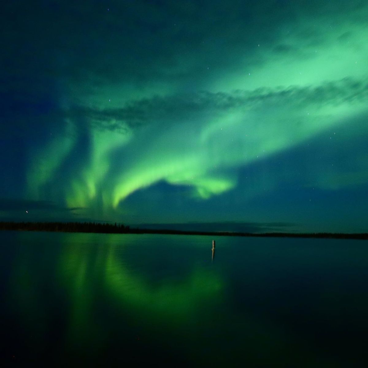 2日目はオーロラツアーへ！
ホテルを1歩出た時から見上げればオーロラ✨バス...