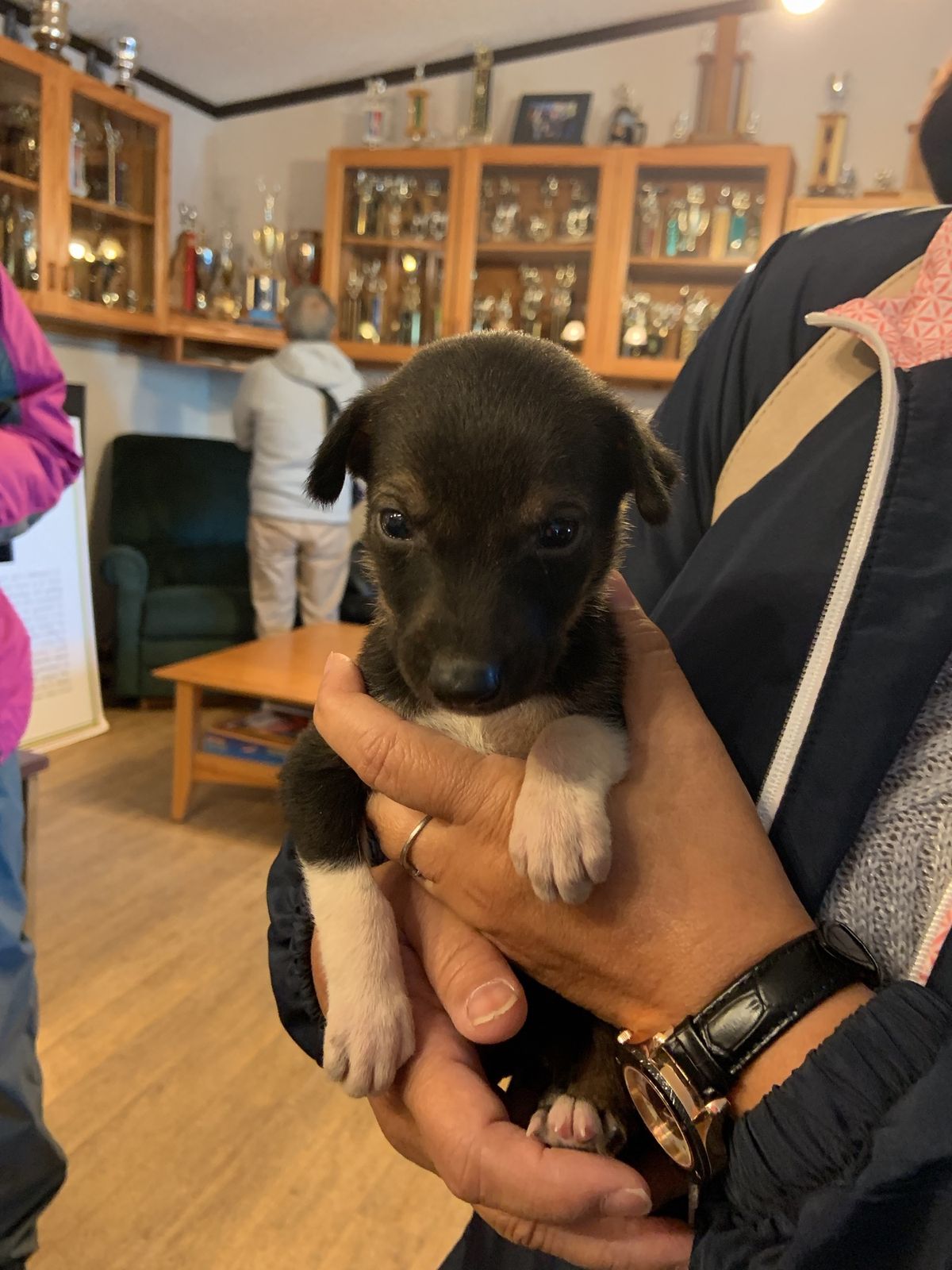 雪の中を犬ゾリで走るイメージではありませんでした😂