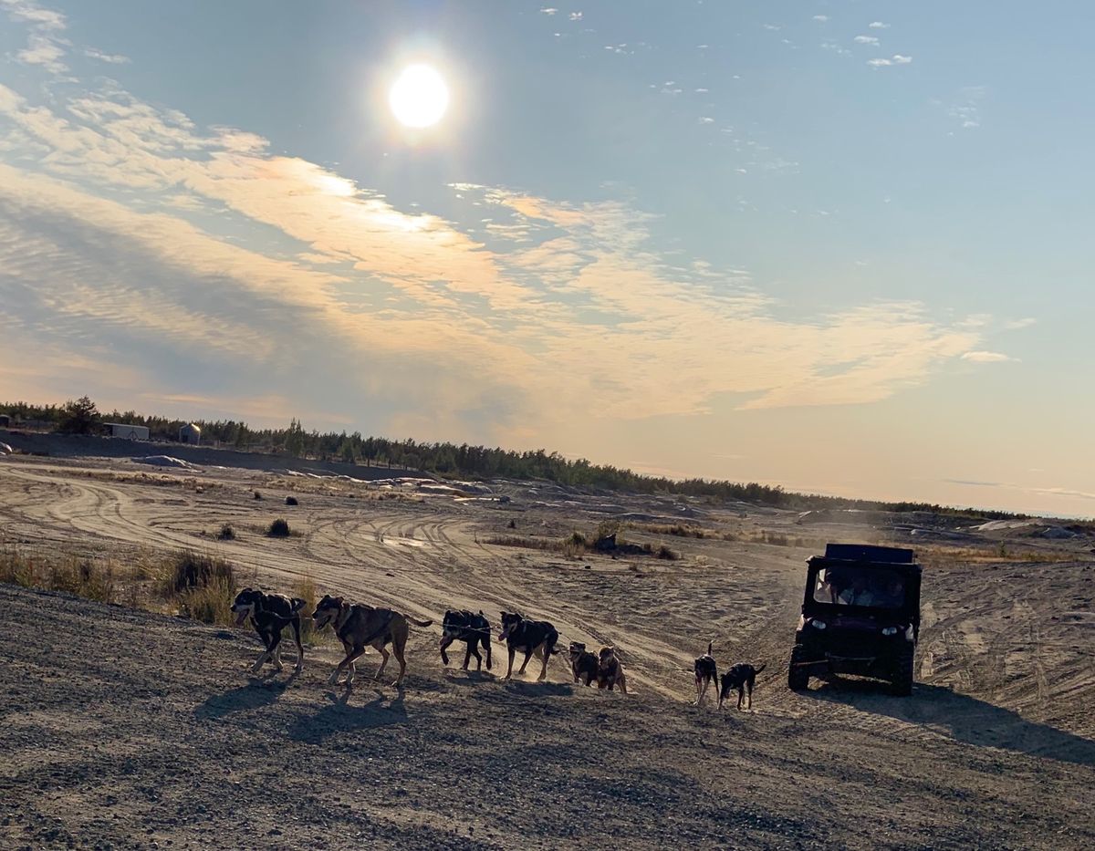 雪の中を犬ゾリで走るイメージではありませんでした😂