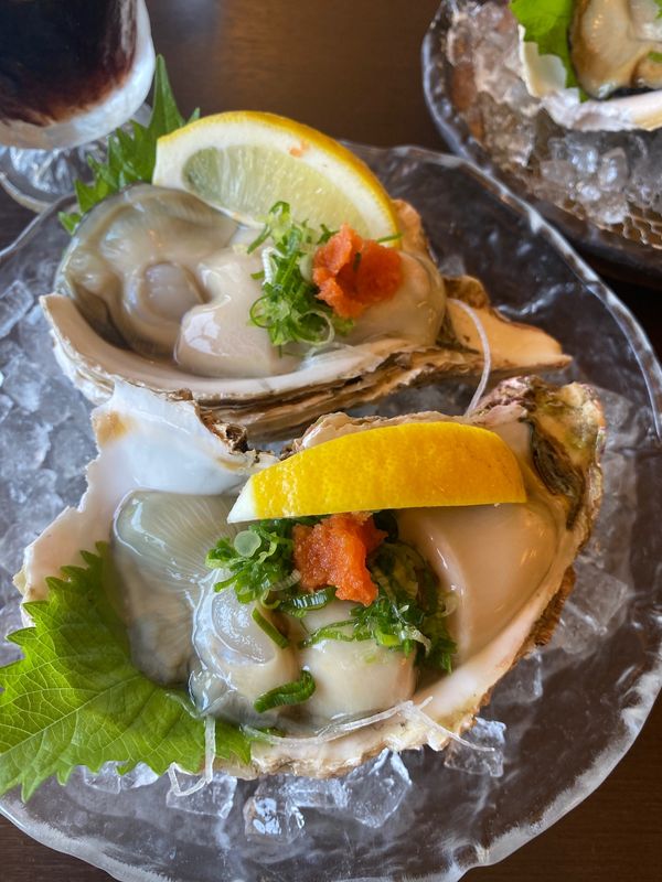 日本・京都府「京都・伊根・姫路城2021.08」の写真