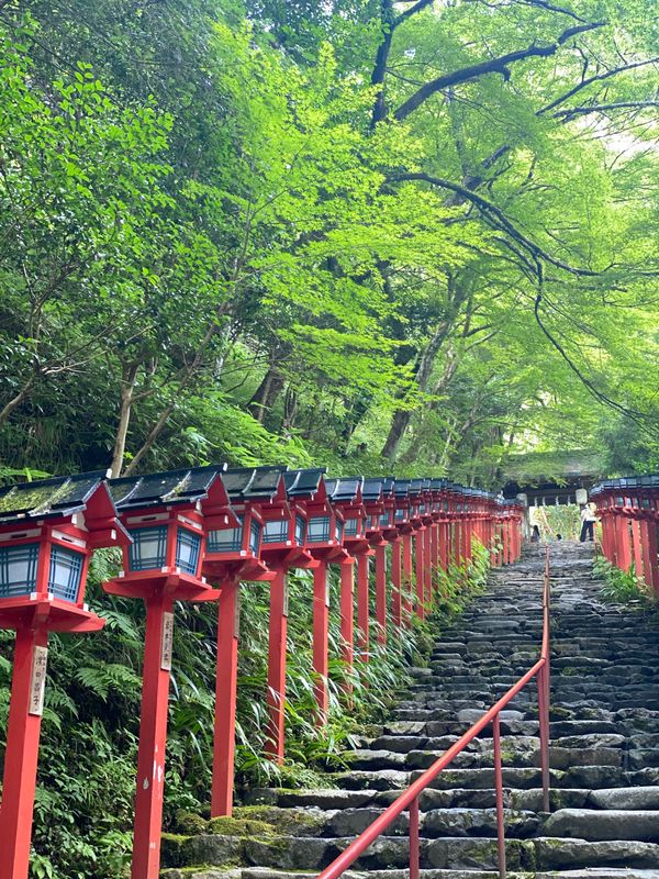 日本・京都府「京都・伊根・姫路城2021.08」の写真
