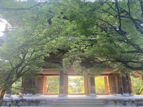 日本・京都府「京都・伊根・姫路城2021.08」の写真