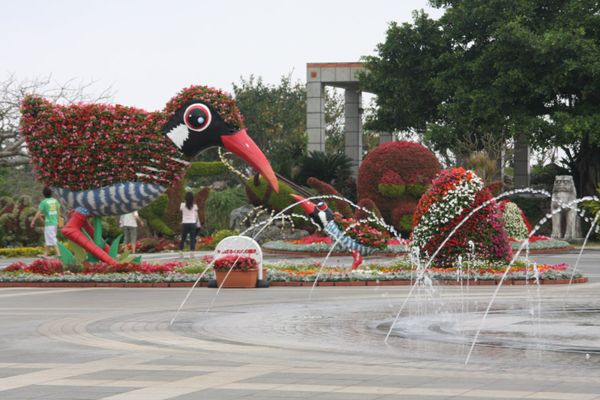 日本・沖縄県「沖縄・首里城・美ら海水族館」の写真：二日目は美ら海水族館。