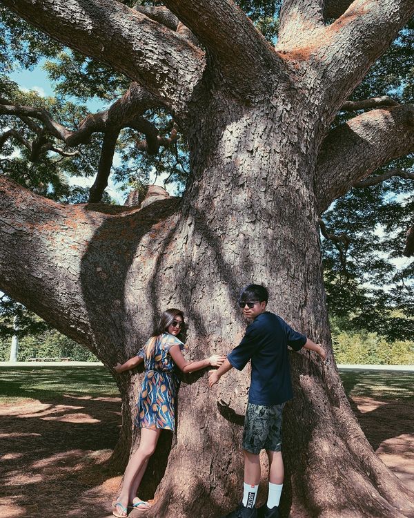 アメリカ(米国)・ハワイ「ハワイ」の写真